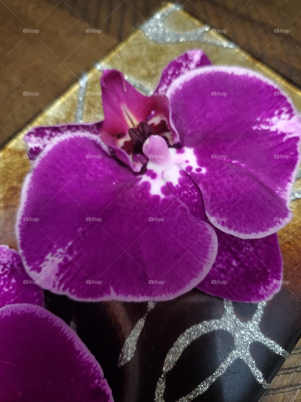 exotic orchids decoration