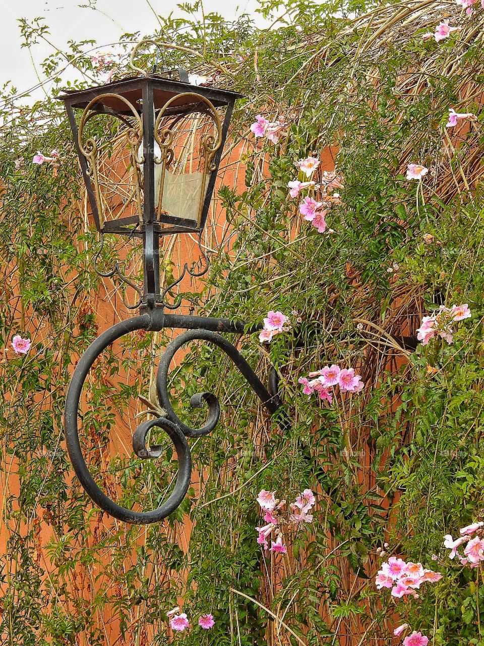 Lamp surrounded by flowers