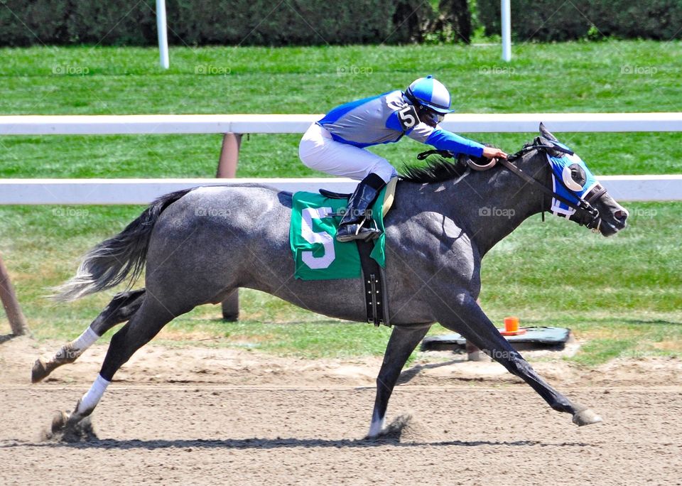 Clear Pasaj. The muscular gray Clear Pasaj winning at Saratoga with jockey Rajiv Maragh. Caught in full stride.
Fleetphoto