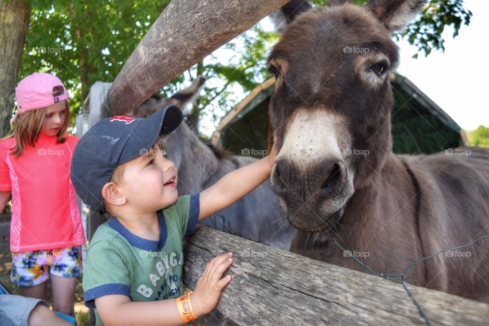 Boy and his Burro