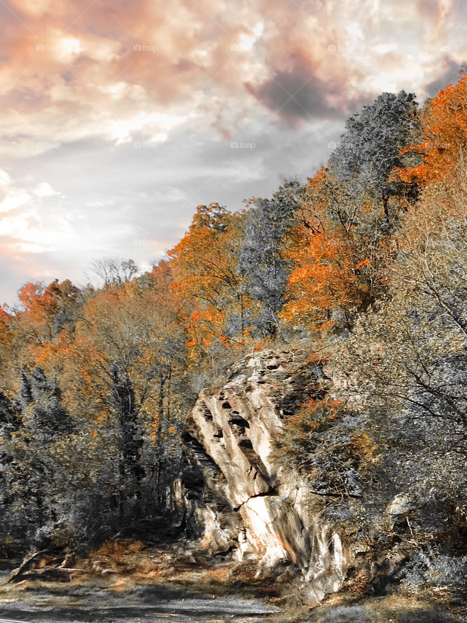 On top of the mountain 