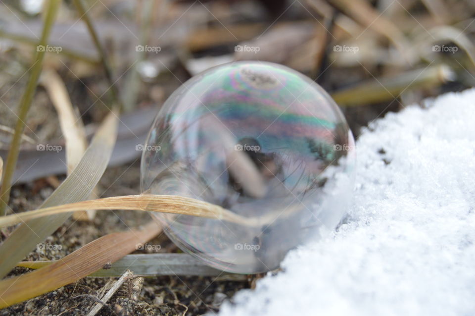 soapbubble