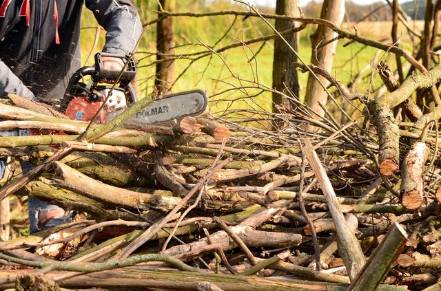 chainsaws