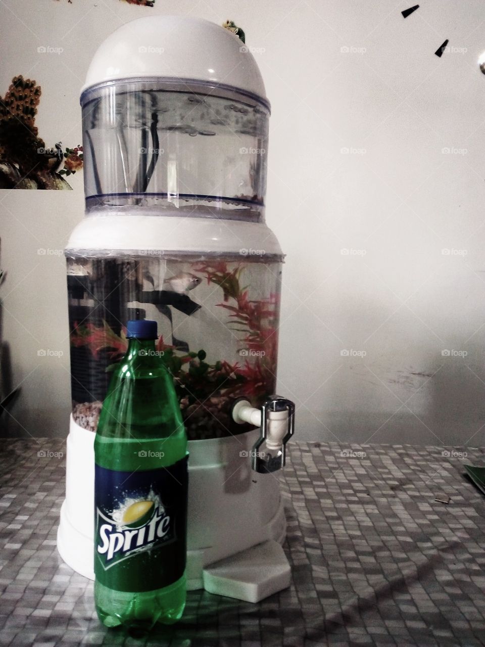 Sprites for thirsty