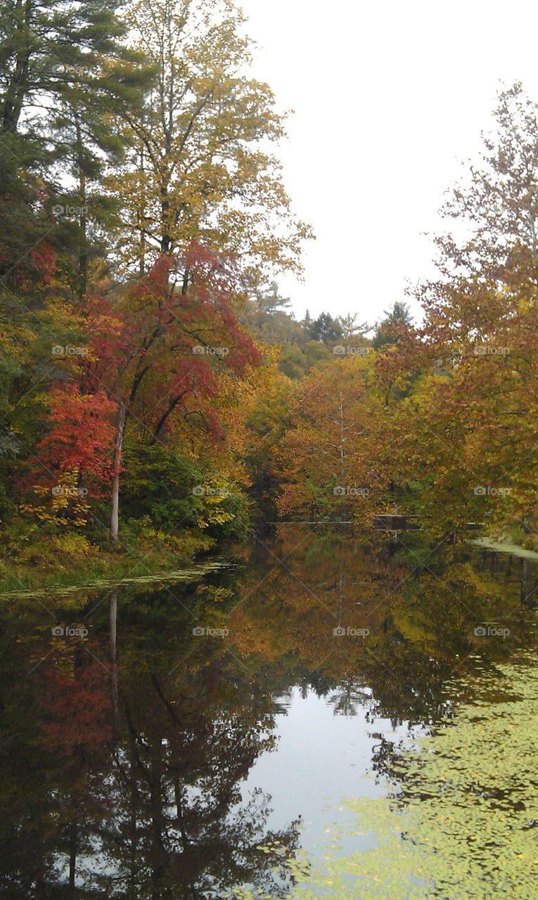 Virginia Color. Fall in Virginia