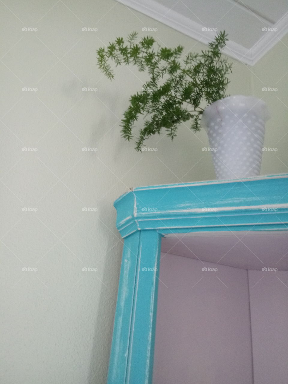 a house plant placed at the top of a cabinet as decor