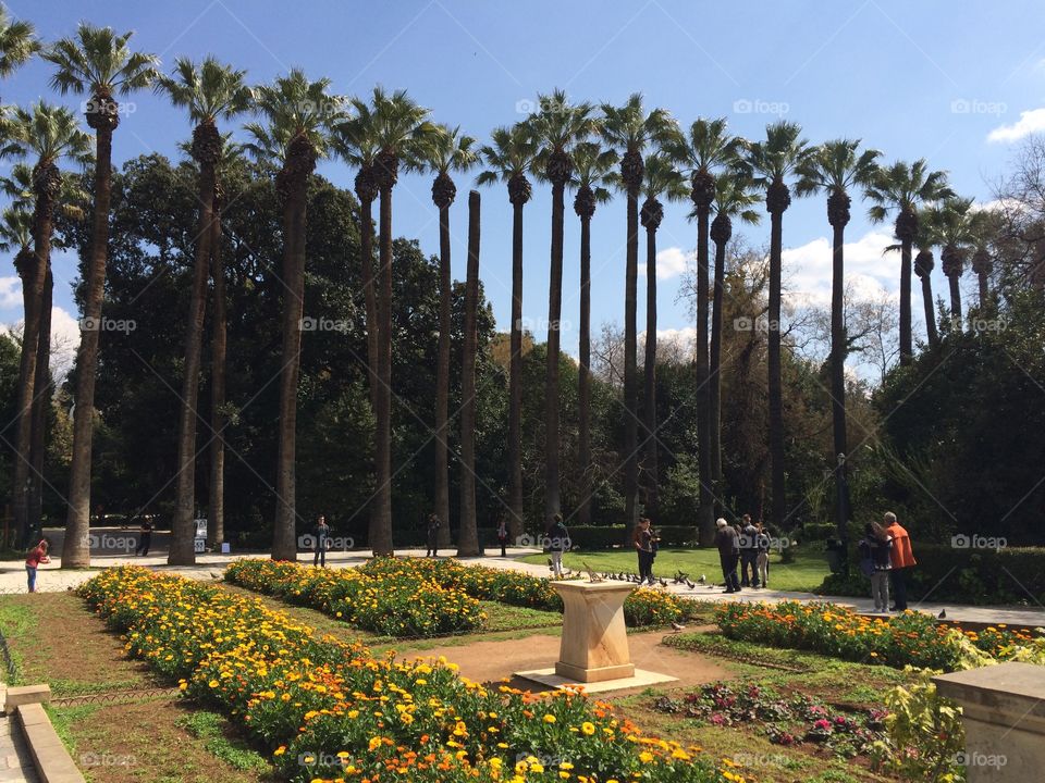 Sunny day, in Athens! National gardens 😎