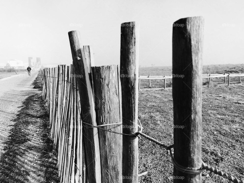 Sticks in black and white