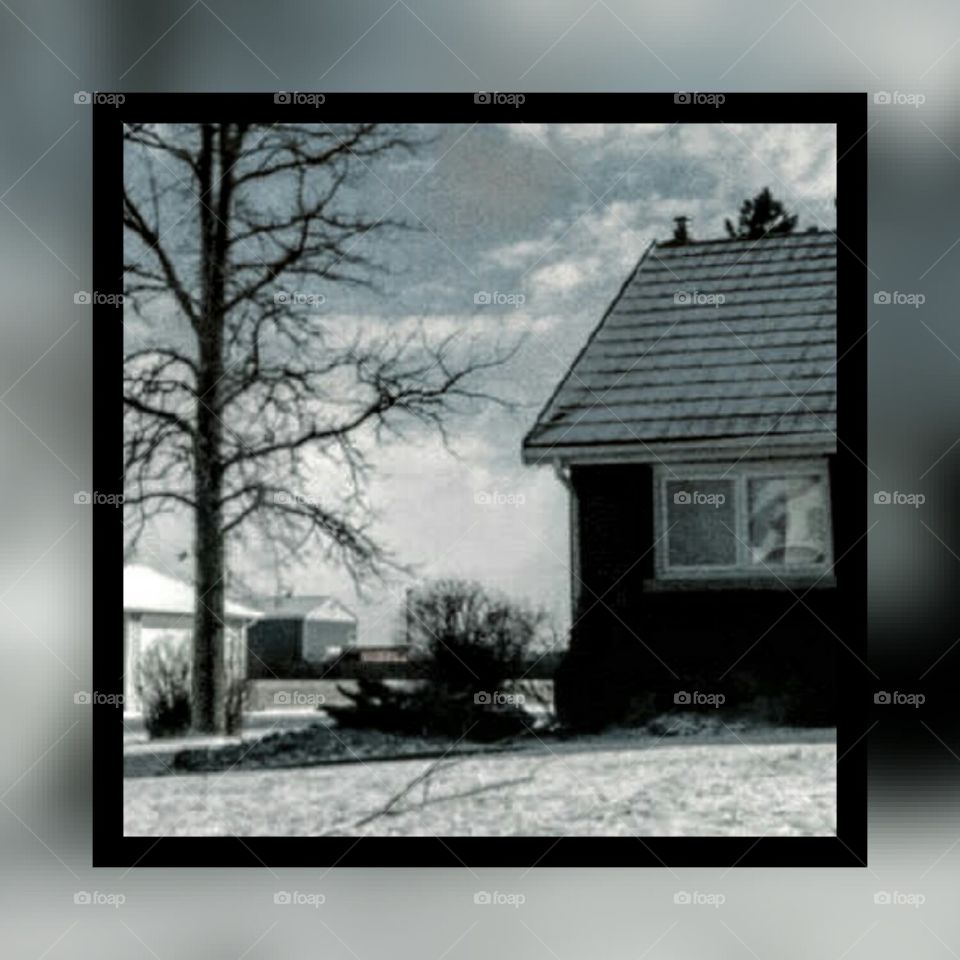 No Person, Empty, House, Family, Window