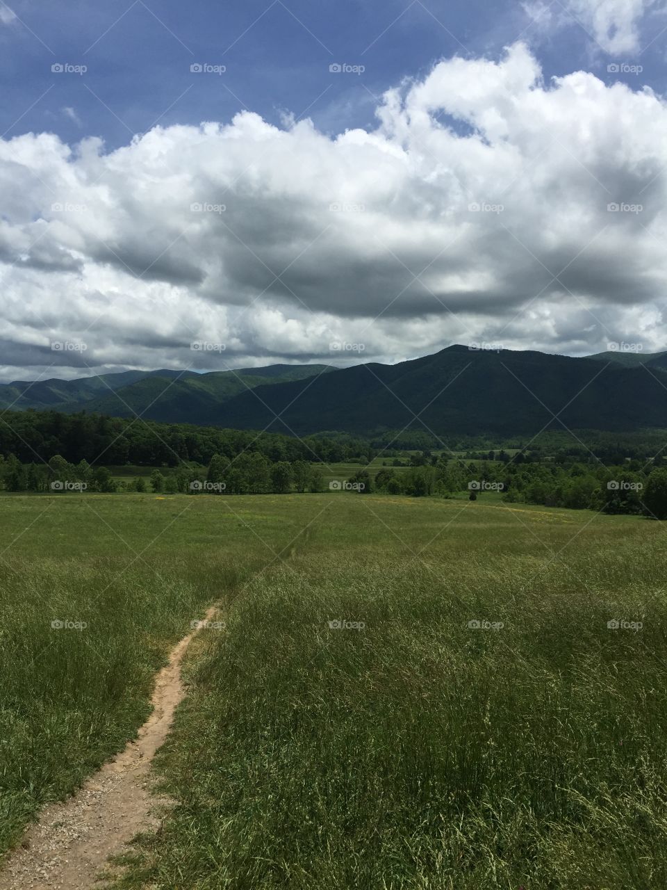 Cade's Cove 