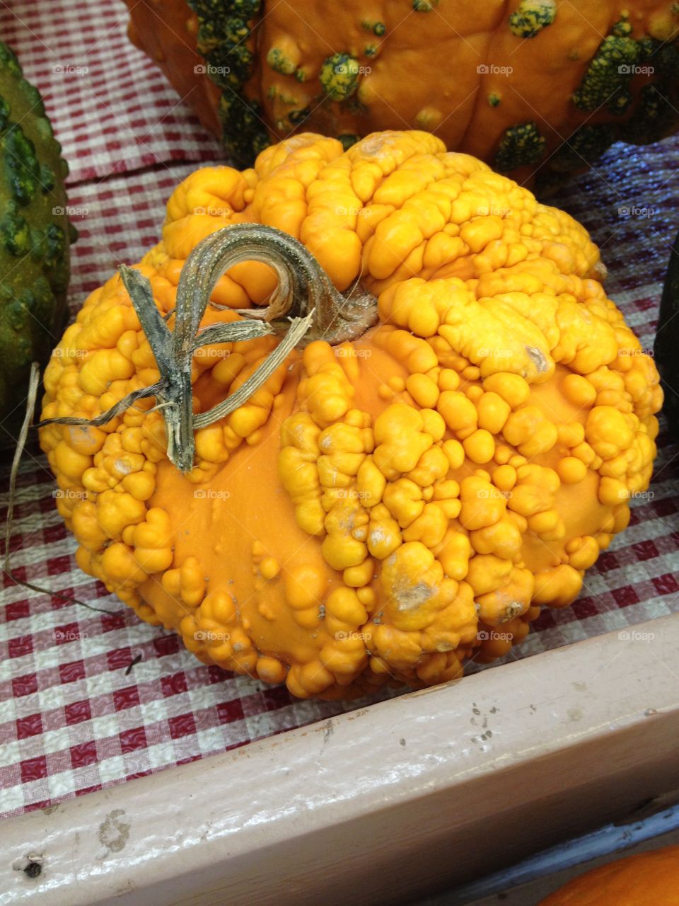Warts. This wart filled pumpkin is just spooky enough for Halloween 