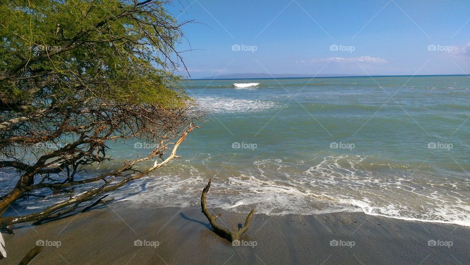 Maui Beach. awaiting the waves in Maui