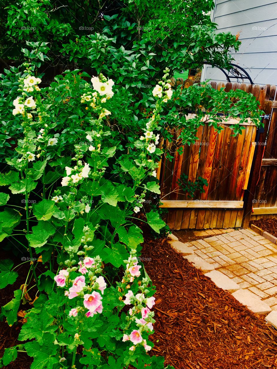 How does your garden grow?