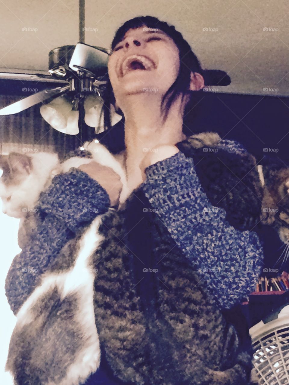 the crazy cat lady
