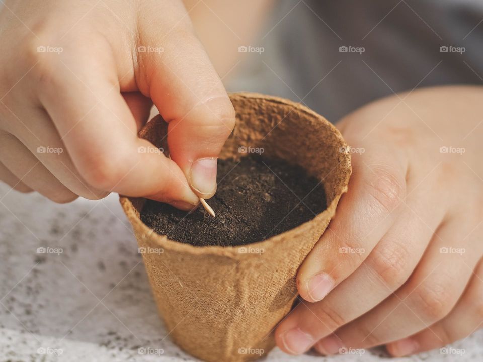 The hands of a young caucasian child girl put a cucumber seed in a black soil with a cardboard craft glass with her fingers, sitting at a light stone table, close-up side view. The concept of planting seeds, creative children.