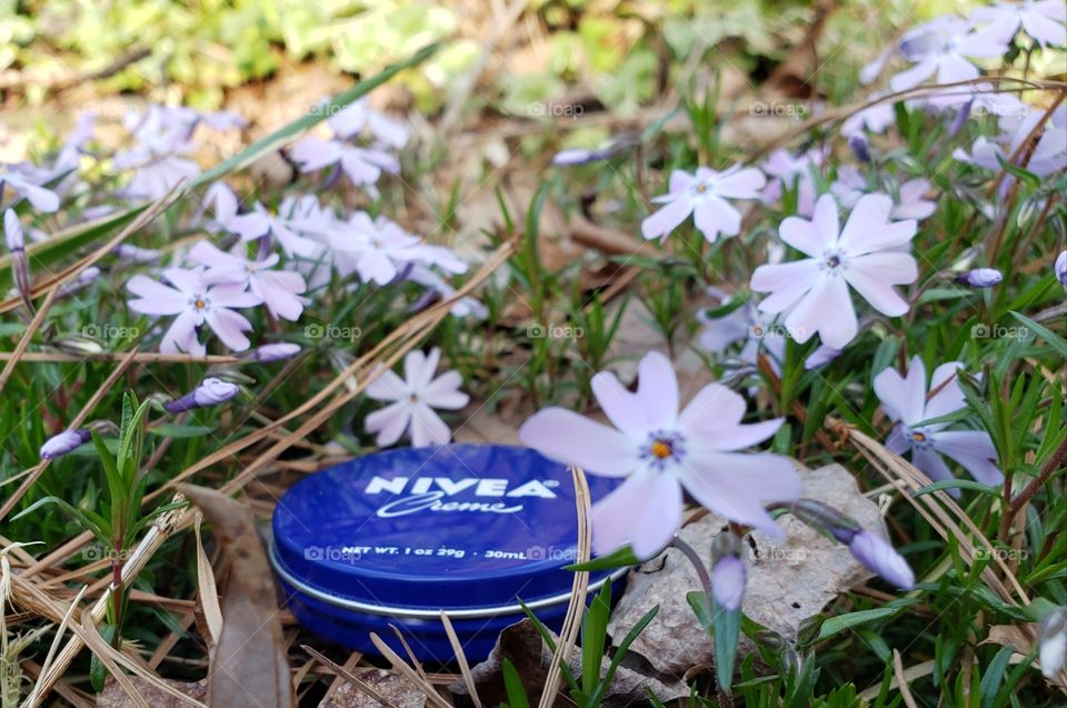 Spring and Nivea