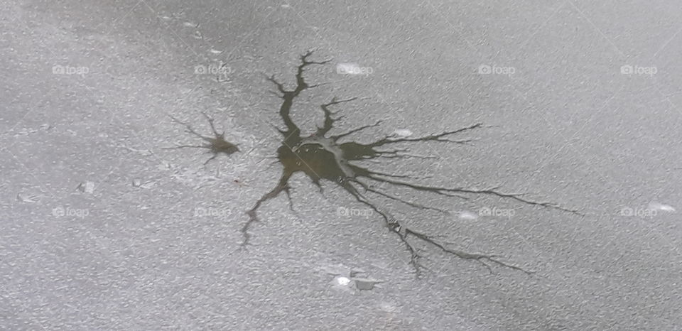 glace au parc Barbieux