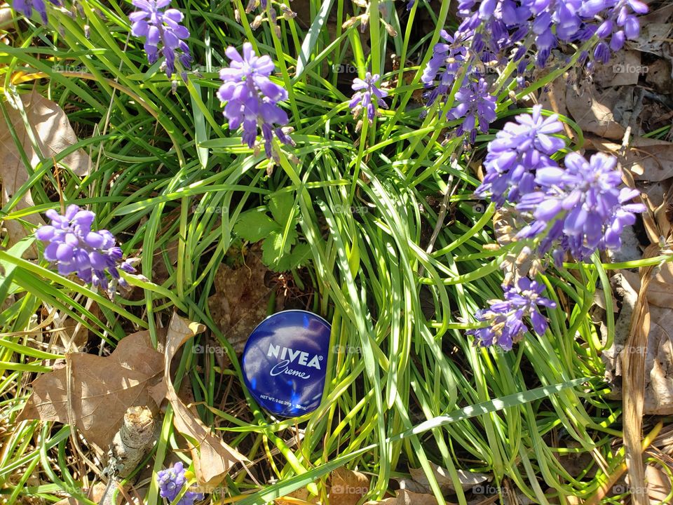 Spring and Nivea
