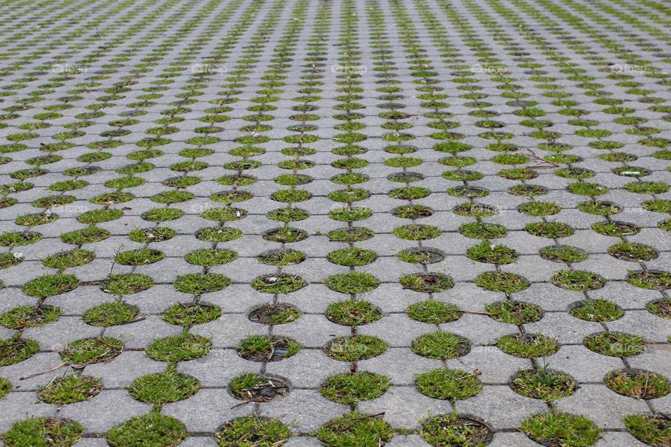 Concrete pavement on which grass grows in circular opening.  The plant finds a way