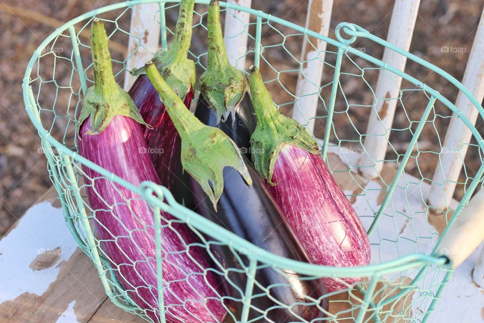 Eggplants