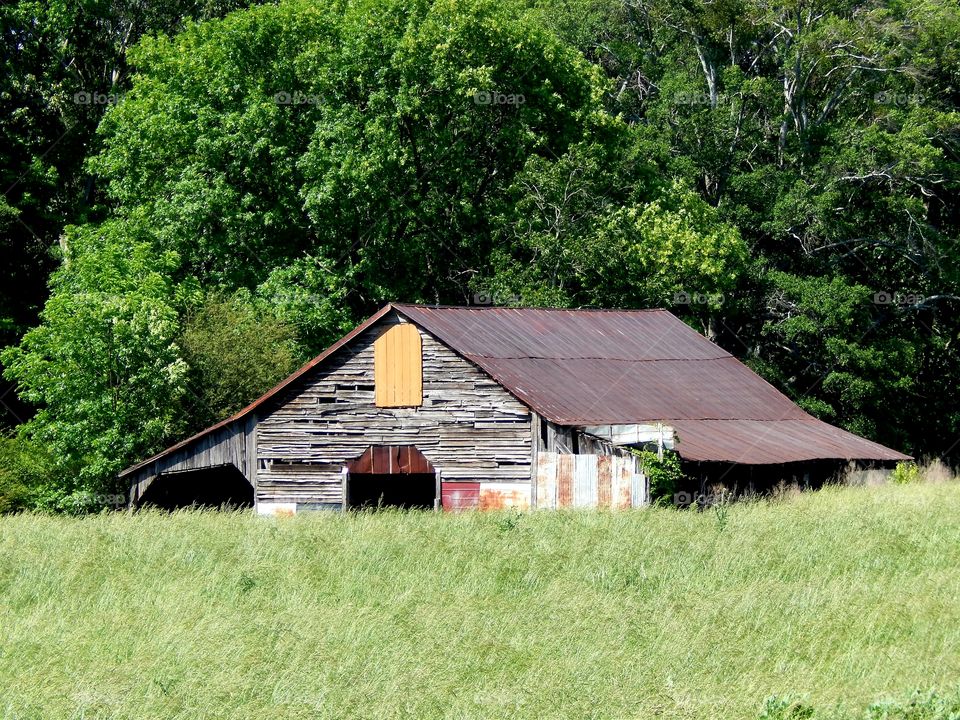 Old barn in a green field with green trees in background in the Georgia countryside