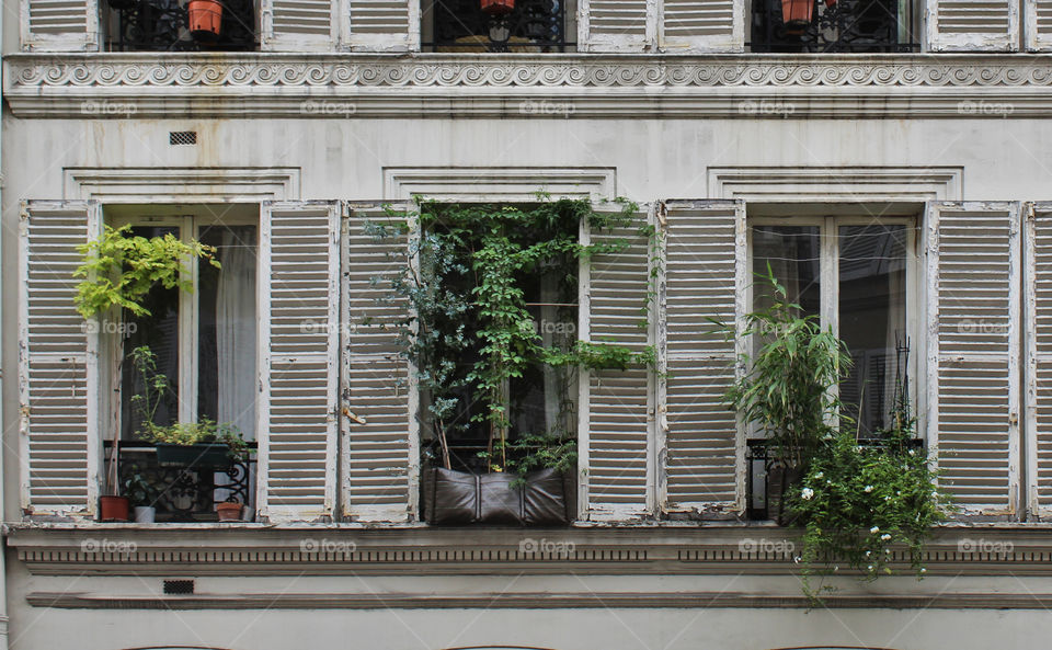 facades of buildings in Paris France