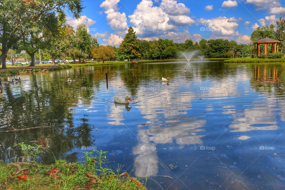 Scenic Pond