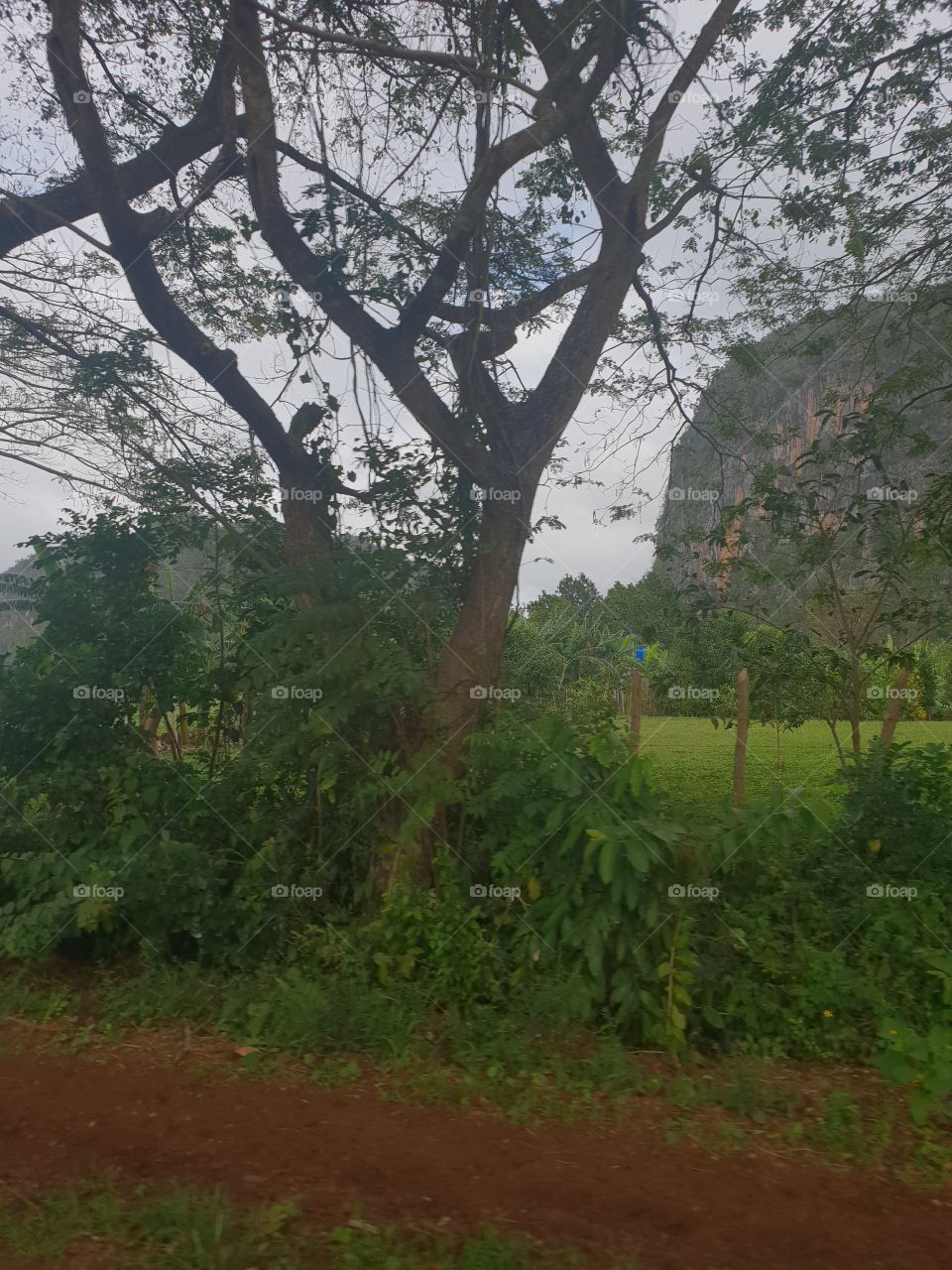 Viñales