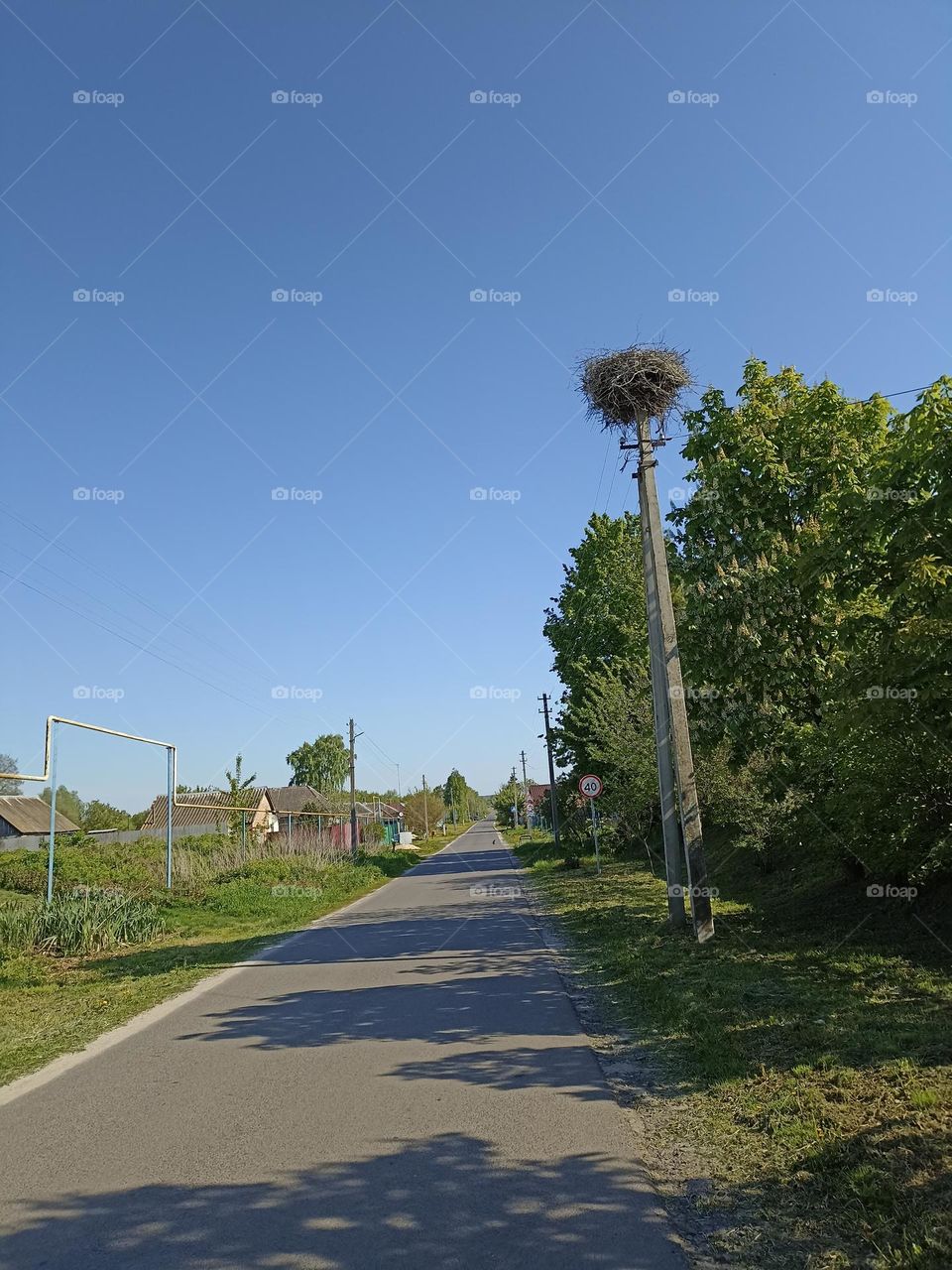 Stork's nest on a pole