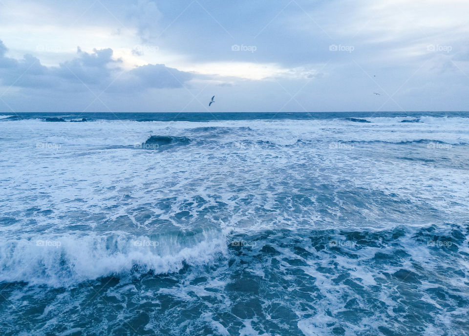 Scenic view of sea