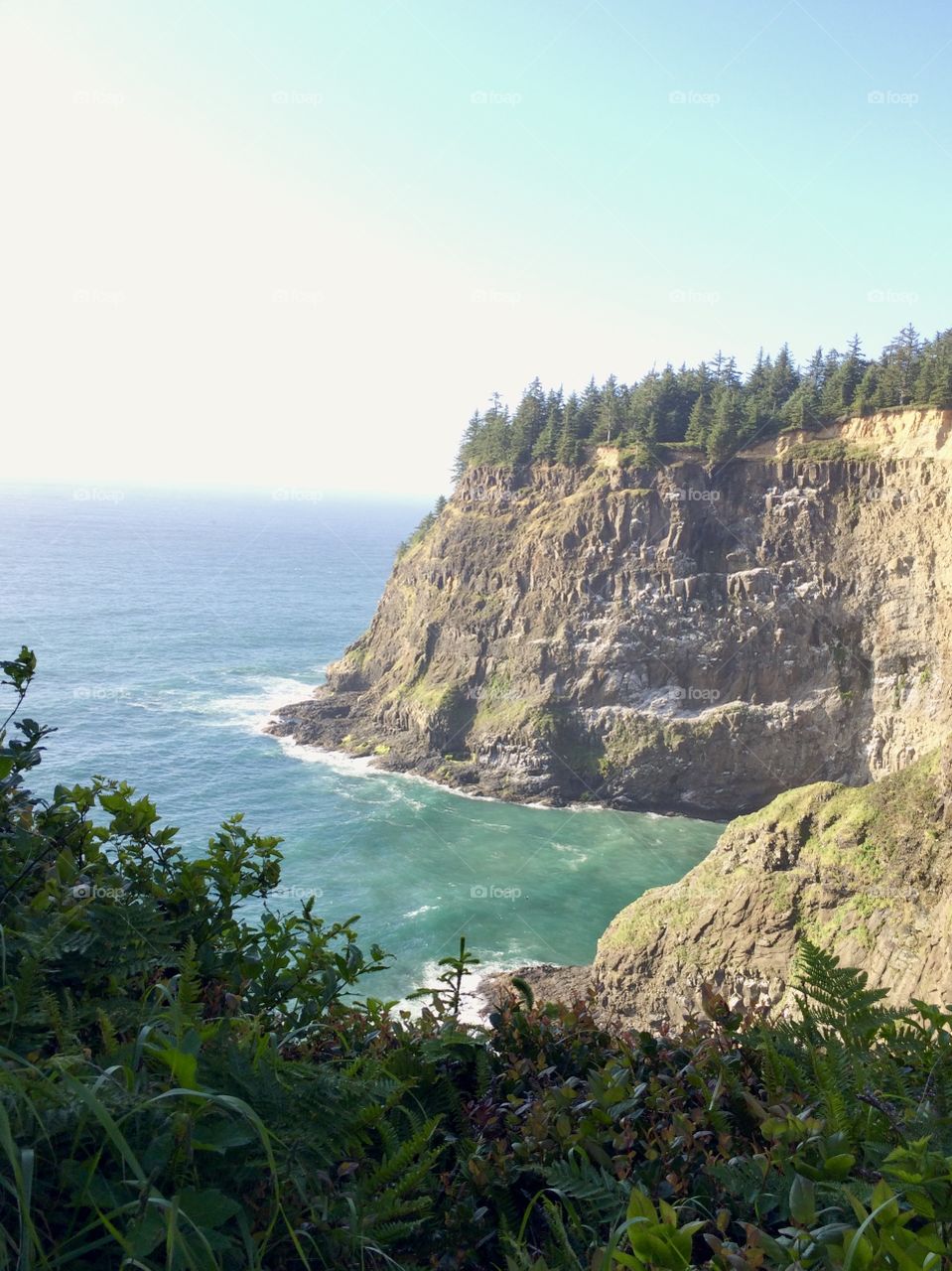 Cliff side overlooking the Pacific Ocean on the coast of Oregon on a summer day. 