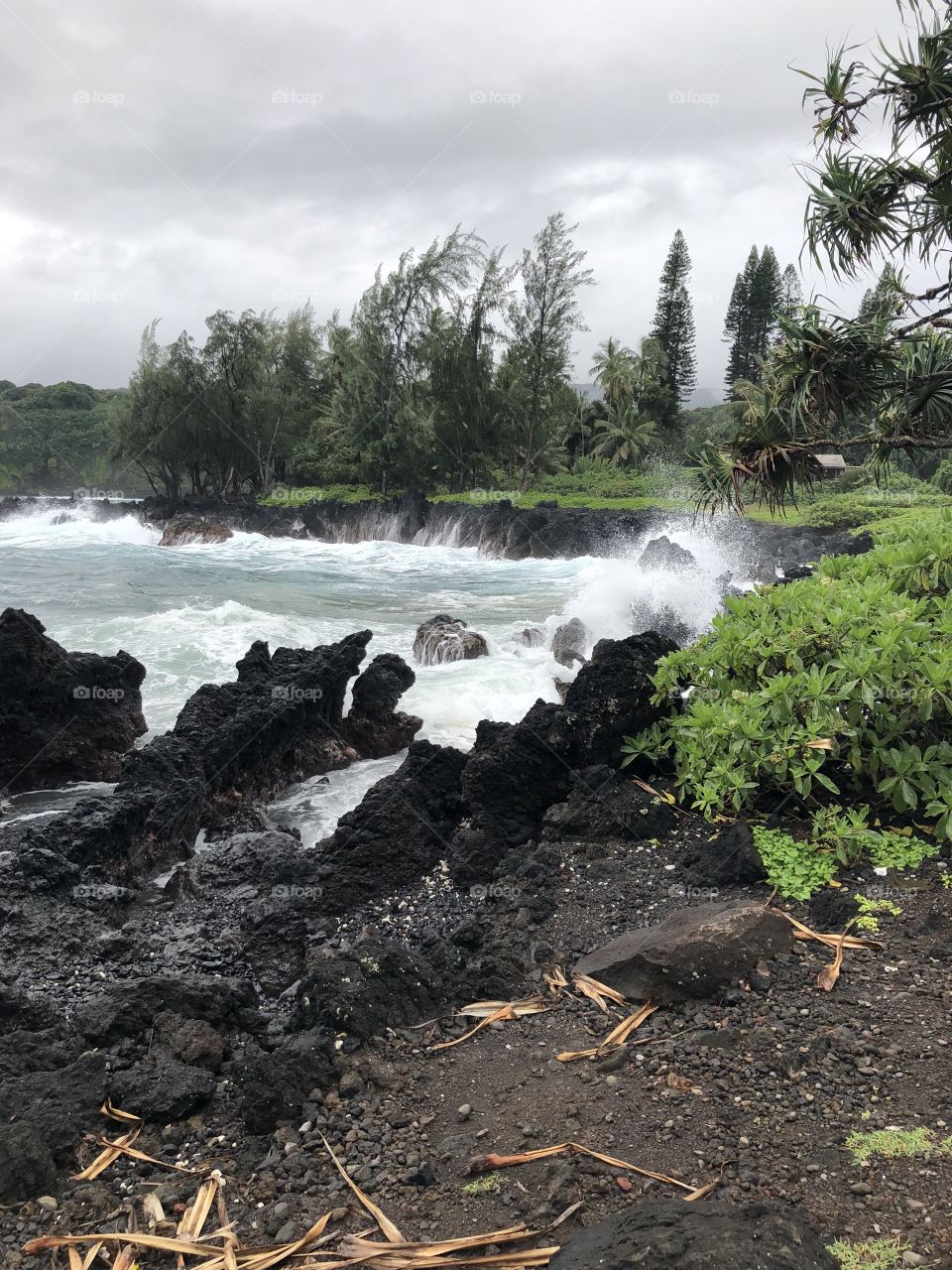 Waves crash against rocks 