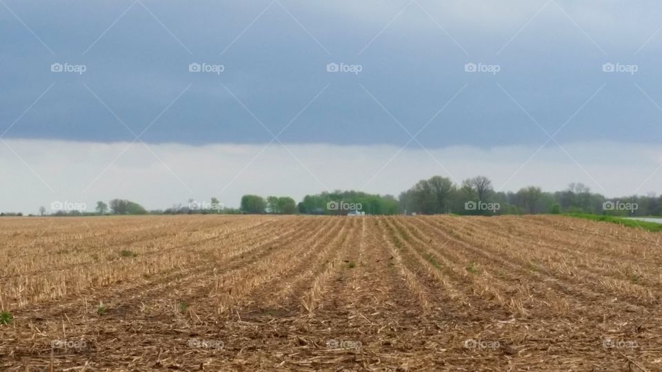 Field and horizon