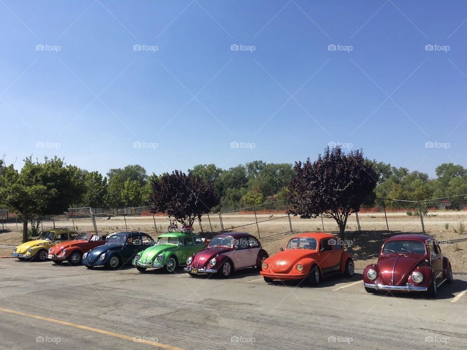 A line of Volkswagen beetles