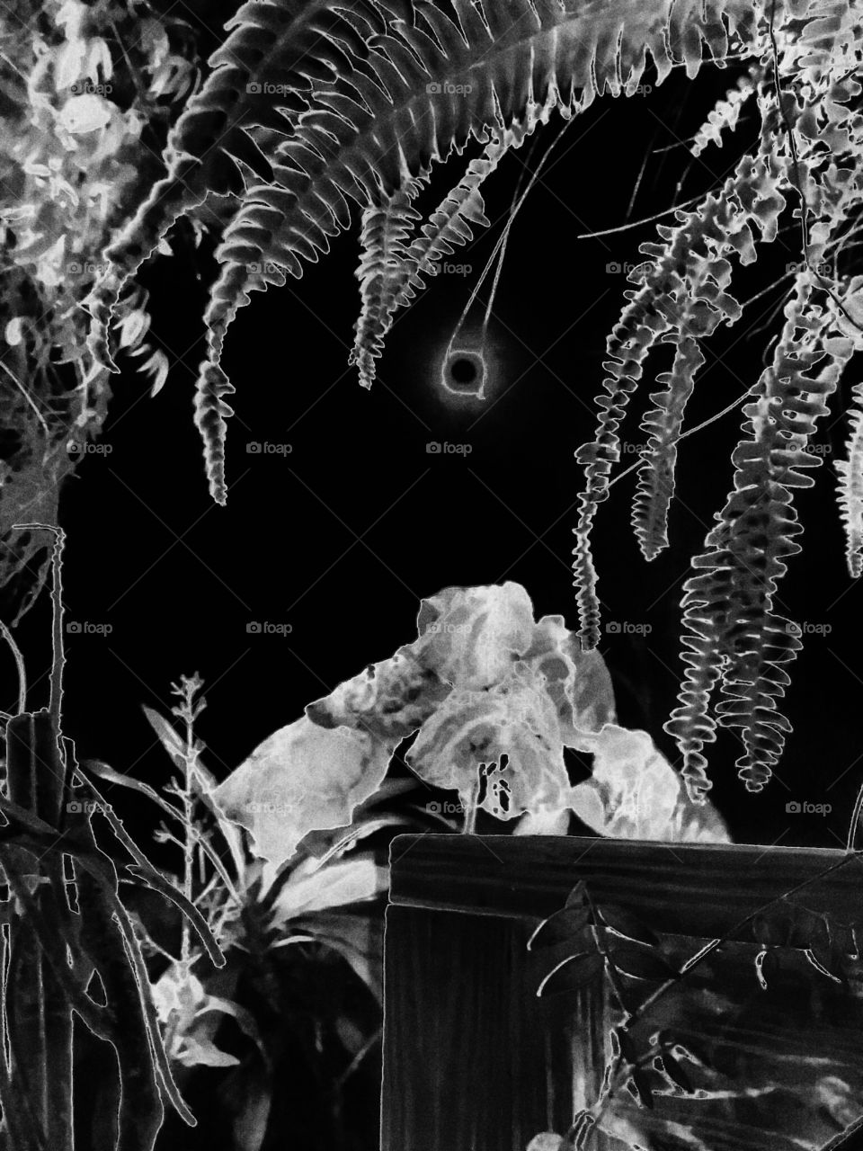 Monochrome Moon At Night