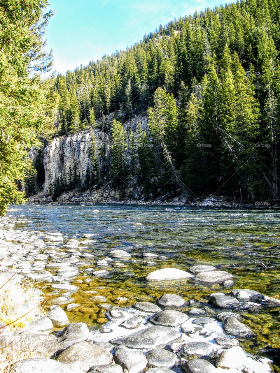 Beautiful Textured River "One Stepping Stone at a Time"