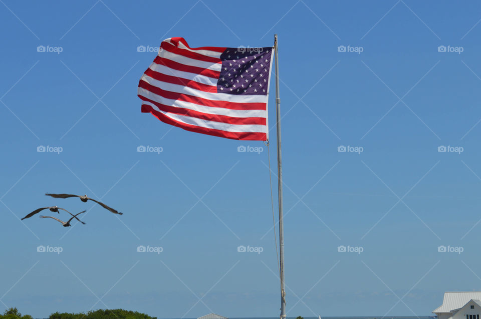 American flag waving in the wind from a flagpole with a blue sky background and flying seagulls