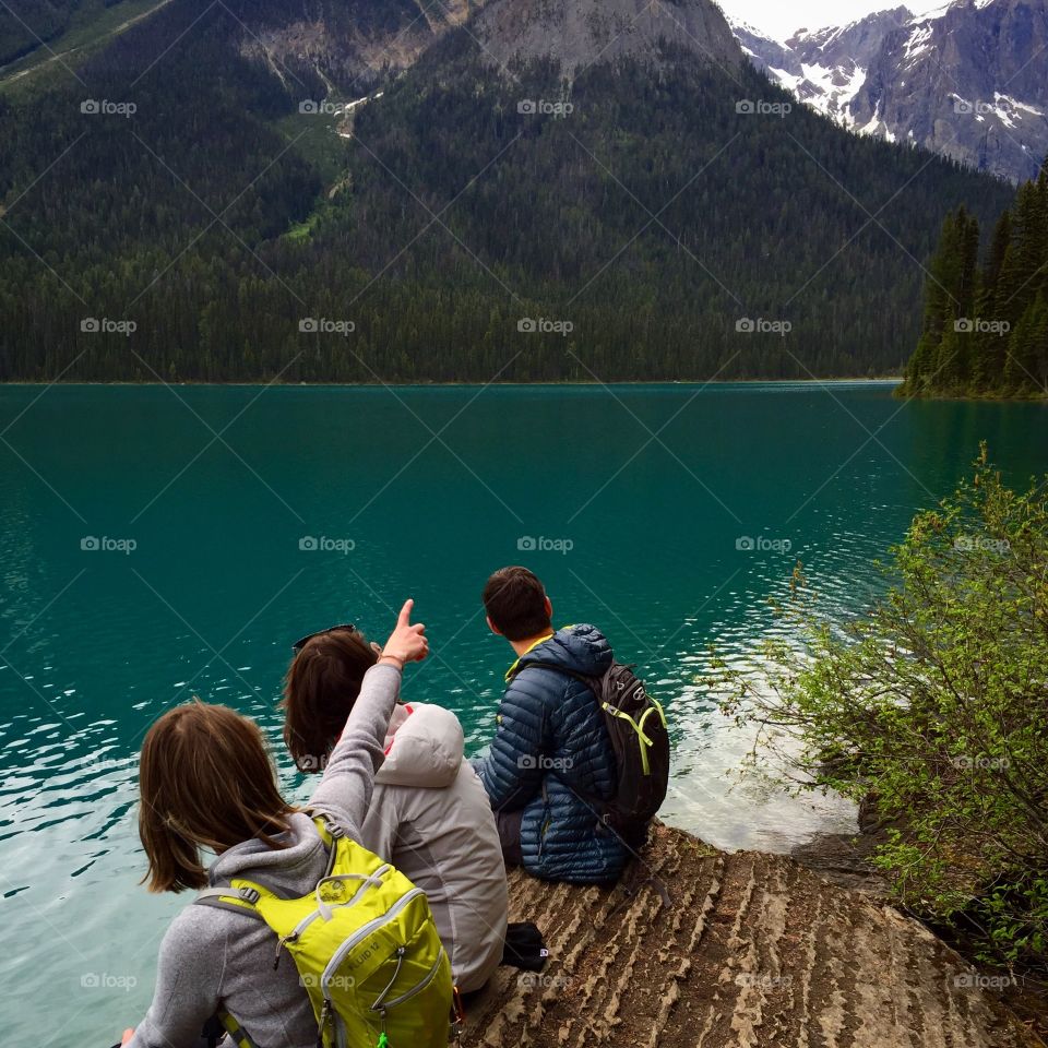 Point of view along our road trip in Alberta. 