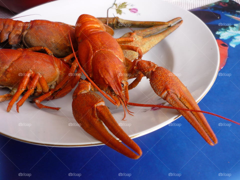 Crabs in a plate