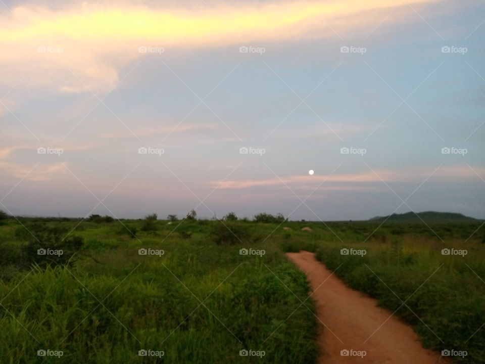 Sunlight and the Moon 
on different sides of the sky