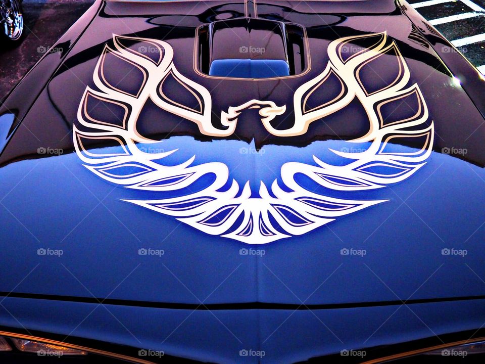 Classic firebird muscle car hood