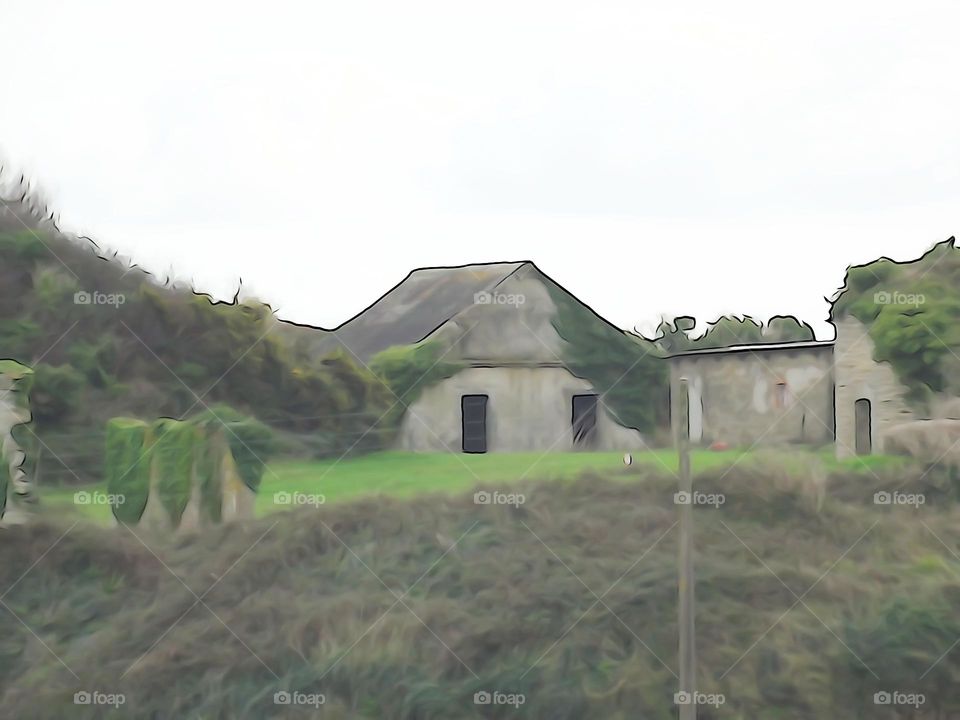 Greenery on aged house illustration