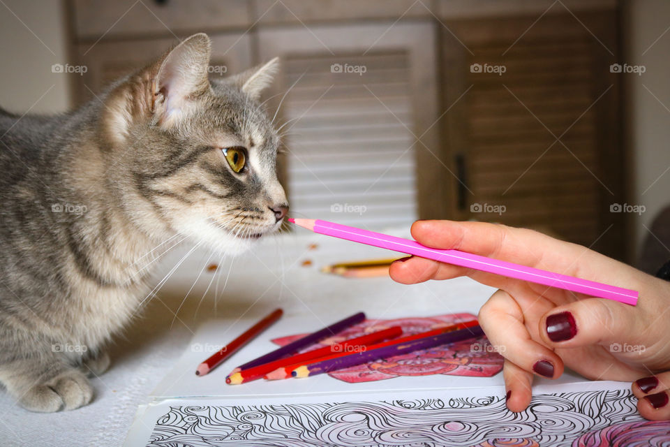 A woman and tabby cat playing with a pencil