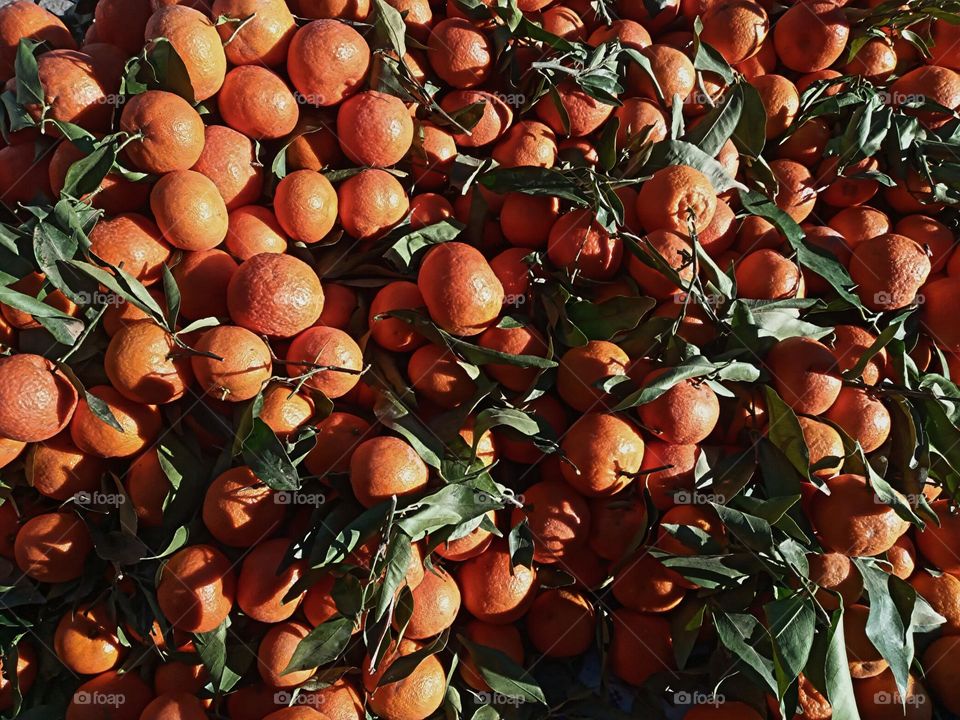 moroccan mandarin