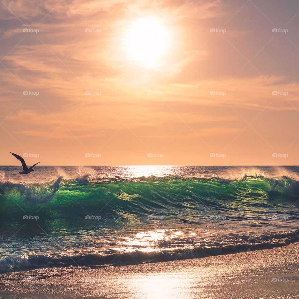 California Beach