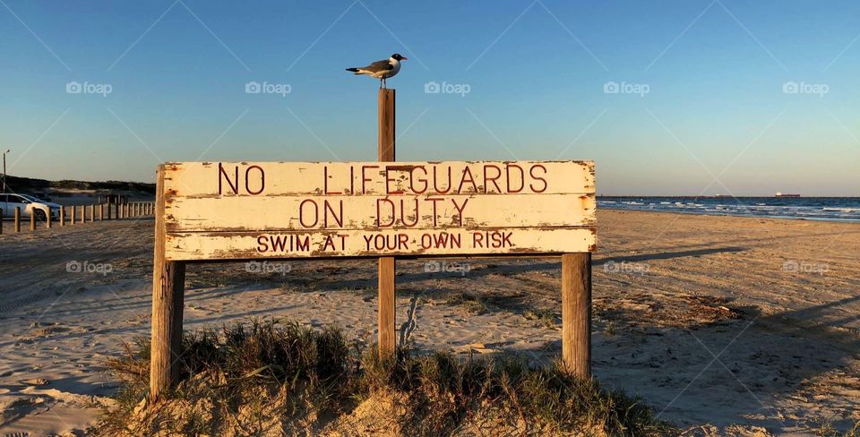 No lifeguards on duty 