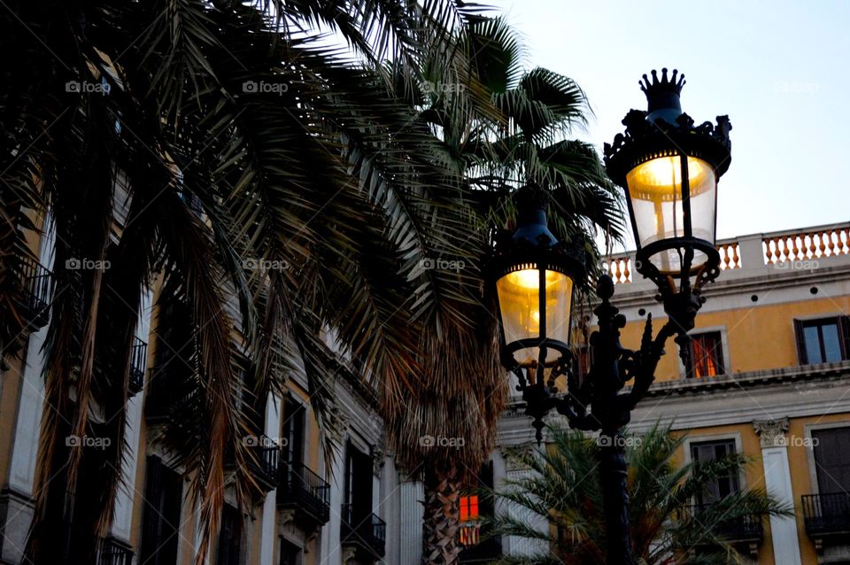 Dusk in la Plaza deal Rey