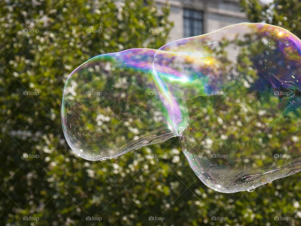 big bubble