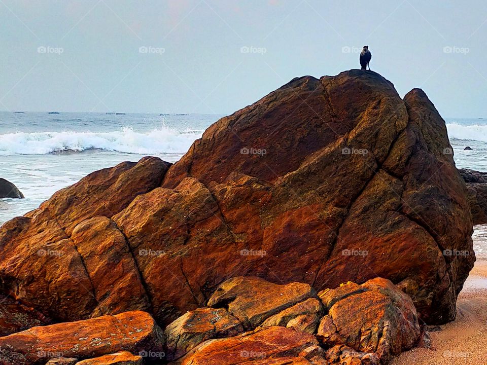 Multi colored rocks seems beautiful at the sea shore.