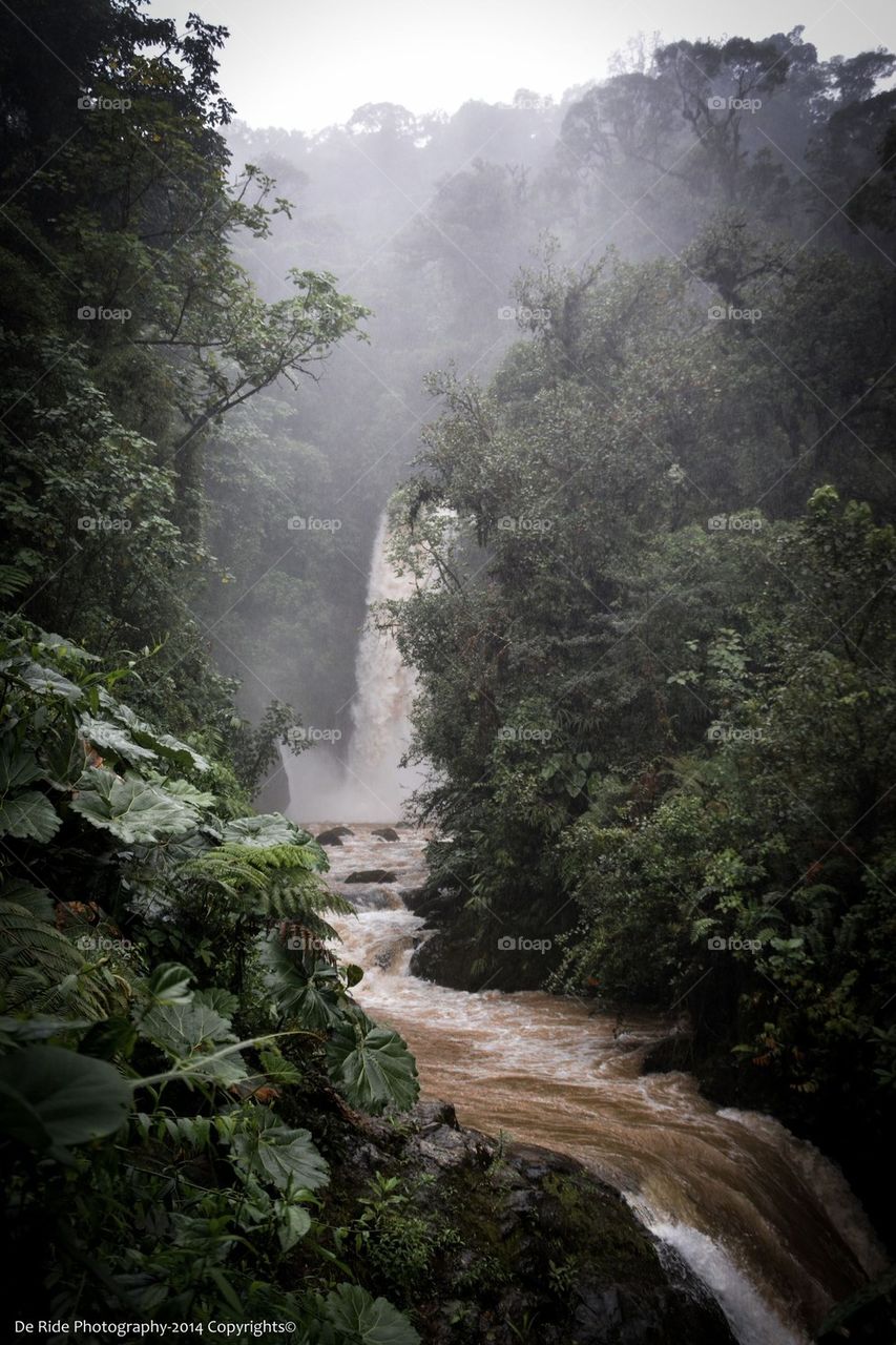 La Paz - Costa Rica